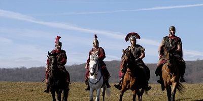 Cartel de An Owl in a Thornbush
