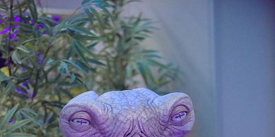 Cartel de Cupid's Dagger