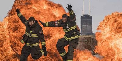 Cartel de Law of the Jungle