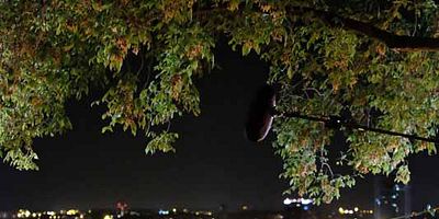 Cartel de Au cœur du crime