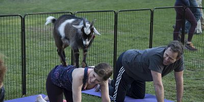 Cartel de Just Say Yes