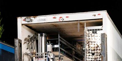 Cartel de Codependence