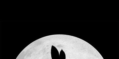 Cartel de The Journey