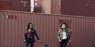 Cartel de K9 + Smugglers + New Recruit