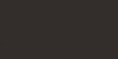 Cartel de El Candidato