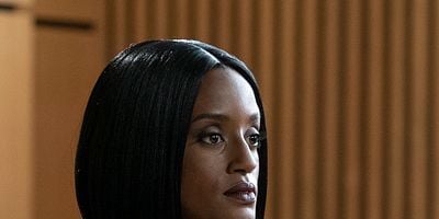 Cartel de The Fugitive