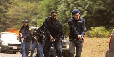 Cartel de Made Of Stone