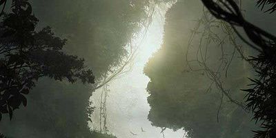 Cartel de The Deep Jungle