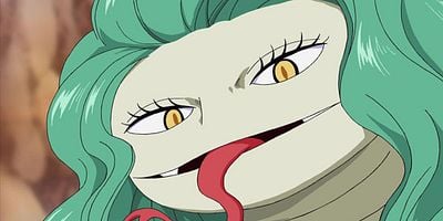 Cartel de Rufi Daikusen! Hebi Shimai no Haki no Chikara!!