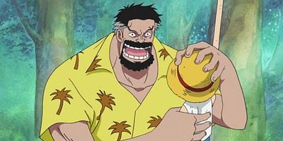 Cartel de Sorezore no Eranda Michi – Rufi vs Gāpu!