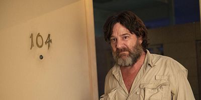 Cartel de Animal for Sale