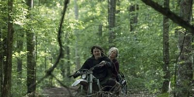 Cartel de Lines We Cross