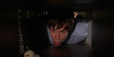 Cartel de Cazando pollos