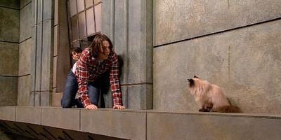 Cartel de No cancelaré el show