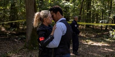 Cartel de La loi du plus fort