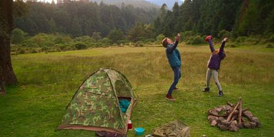 Cartel de TUSSILAGO (symb. worries)