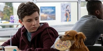 Cartel de Getting to Know You