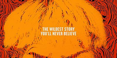 Cartel de Not Your Average Joe