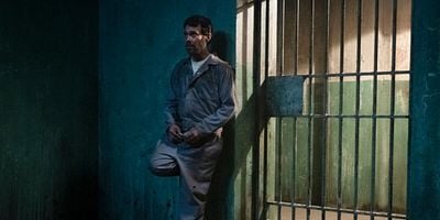 Cartel de Psy-Op + Cell + Merchant + Birds