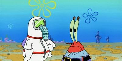 Cartel de Bufones grasientos/Modelo esponja