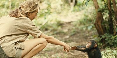 Cartel de Like Father, Like Daughter