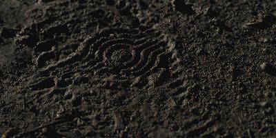 Cartel de Anyone Could Be Next