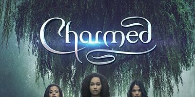 Cartel de The Storm Before the Calm