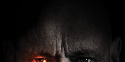 Cartel de Coulda Shoulda