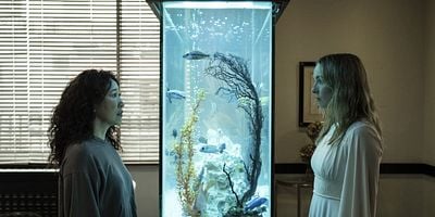 Cartel de Just Dunk Me