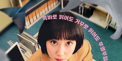 Cartel de Extraordinary Attorney Woo