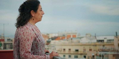 Cartel de El ataque de los Macro-Falcos furros