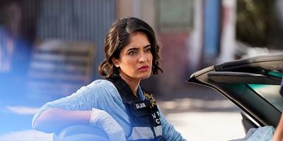 Cartel de Story of a Gun