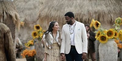 Cartel de The Wedding