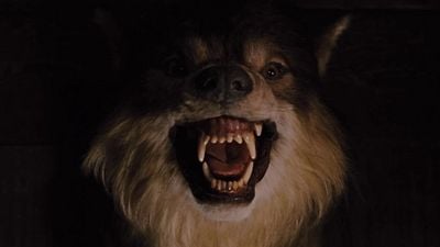 Una de las mejores películas de terror del siglo XXI está en 'streaming': un ingenioso y adictivo entretenimiento de solo hora y media noticias imagen