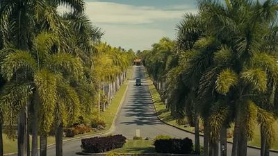 La serie de ciencia ficción y misterio "profundamente fascinante" para ver si te gustó 'Palm Springs': 8 episodios de media hora noticias imagen