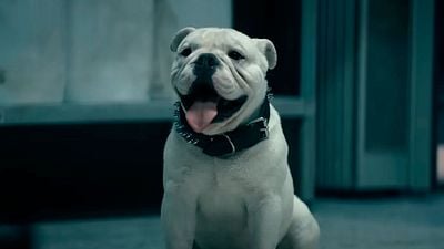 Número 1 instantáneo en Prime Video: El comienzo del que probablemente sea el mayor final de serie del año arrasa en las listas de popularidad noticias imagen