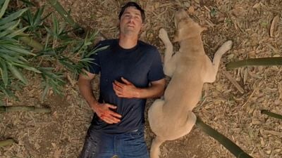 El final de esta serie fue frustrante para muchos, pero resulta que ver 'Perdidos' en orden cronológico cambia por completo el significado de la serie noticias imagen