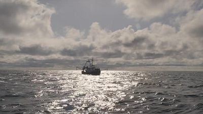 Hoy en TV: la película que ganó un Oscar y cabreó a todo el mundo noticias imagen