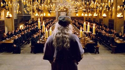 Solo un actor de la saga de películas de 'Harry Potter' se ha unido a la serie de HBO Max: "Siempre ha ocupado un lugar muy especial en mi corazón" noticias imagen