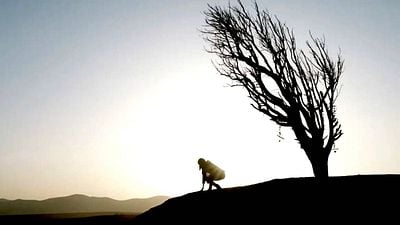 "Sin comentarios": Es considerada una de las peores películas de la Fase 4 de Marvel y su secuela parece estar en el limbo noticias imagen