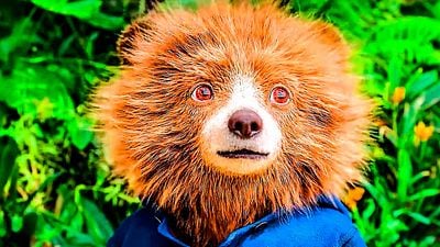 7 años después, 'Paddington' sale de su zona de confort en su 'Aventura en la selva', pero con la misma "diversión y aventura y corazón" noticias imagen