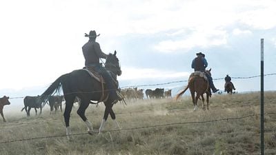 Si te encanta ‘Yellowstone’, Taylor Sheridan nos dio una de las mejores películas de western de este siglo que puedes ver completamente gratis noticias imagen