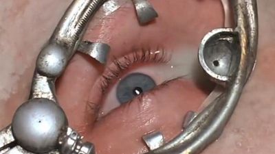 Hace 30 años, el cine nos enseñó de manera precisa cómo podía ser una abducción alienígena: una escena de 5 minutos nos traumatizó a todos noticias imagen