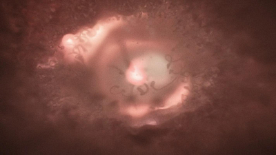 Este año he tenido pocas experiencias en el cine tan pletóricas como la que me dio esta película: ahora puedo verla de nuevo en Prime Video noticias imagen