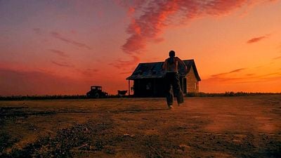 29 semanas después de su estreno en streaming, esta película ha vuelto a arrasar: todo el mundo quiere saber por qué ha hecho historia noticias imagen