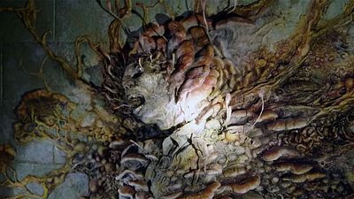 La tripofobia, el aspecto de 'The Last of Us' que muchos no soportan: "Siento que podría vomitar" noticias imagen