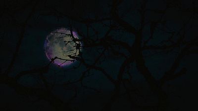 Nadie fue a verla, pero esta comedia de terror sólo dura hora y media y tiene un reparto descomunal noticias imagen