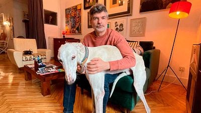 Nacho Guerreros, actor: "No he lamido culos que no quiera lamer: tardé 14 años en vivir de lo mío" noticias imagen