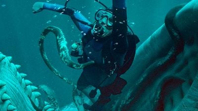 Brian Duffield de 'Whalefall': “Una de nuestras expertas en ballenas estaba bastante decepcionada porque no habíamos incluido úlceras ni parásitos” noticias imagen