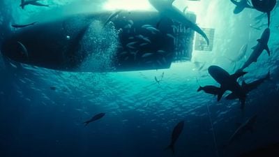 "Parecía la primera película original de tiburones desde 'Tiburón": al contrario que en la película de Spielberg, el peligro ahora está en los humanos noticias imagen
